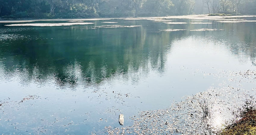 आज विश्व सिमसार दिवस मनाइँदै