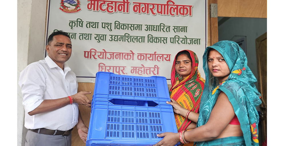 नगरपालिकाद्वारा किसानलाई डाले घाँसको बीउ वितरण
