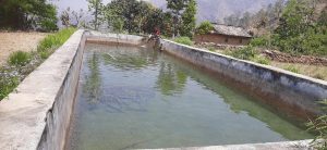 मजखोरीमा सिँचाइ पोखरी निर्माणले किसान लाभान्वित
