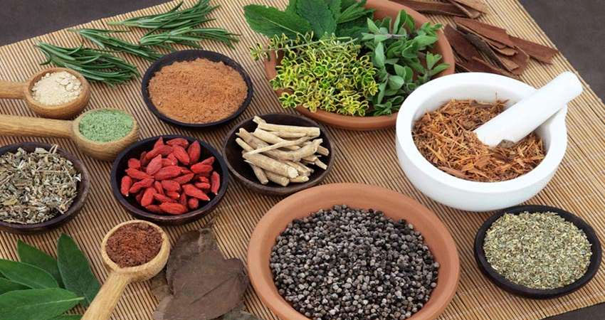 आयुर्वेद चिकित्सालयद्वारा सेवा विस्तार