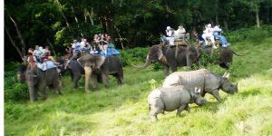 असार १६ गतेदेखि अर्को चितवन राष्ट्रिय निकुञ्जमा सफारी बन्द हुने