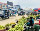चित्रपुरमा आँप महोत्सवः आँपको स्वाद चखाउने र चिनाउने कार्य एकैसाथ चित्रपुरमा आँप महोत्सवः आँपको स्वाद चखाउने र चिनाउने कार्य एकैसाथ