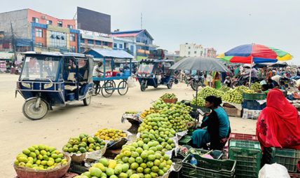 चित्रपुरमा आँप महोत्सवः आँपको स्वाद चखाउने र चिनाउने कार्य एकैसाथ चित्रपुरमा आँप महोत्सवः आँपको स्वाद चखाउने र चिनाउने कार्य एकैसाथ
