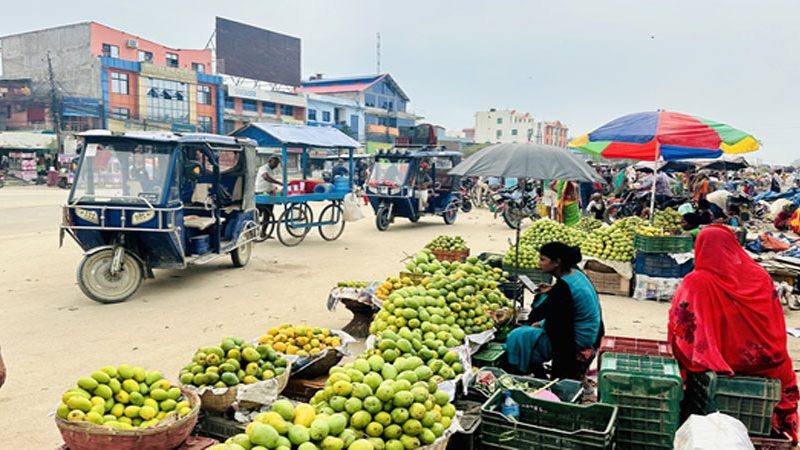 चित्रपुरमा आँप महोत्सवः आँपको स्वाद चखाउने र चिनाउने कार्य एकैसाथ चित्रपुरमा आँप महोत्सवः आँपको स्वाद चखाउने र चिनाउने कार्य एकैसाथ