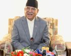 परिस्थितिलाई सम्हाल्न निर्वाचनको विकल्प छैनः प्रचण्ड परिस्थितिलाई सम्हाल्न निर्वाचनको विकल्प छैनः प्रचण्ड