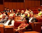 राष्ट्रियसभामा कसले के भनाई राखे ?