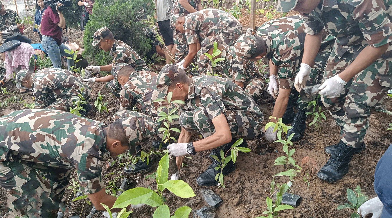 विश्व सम्पदास्थल स्वयम्भूमा वृक्षारोपण