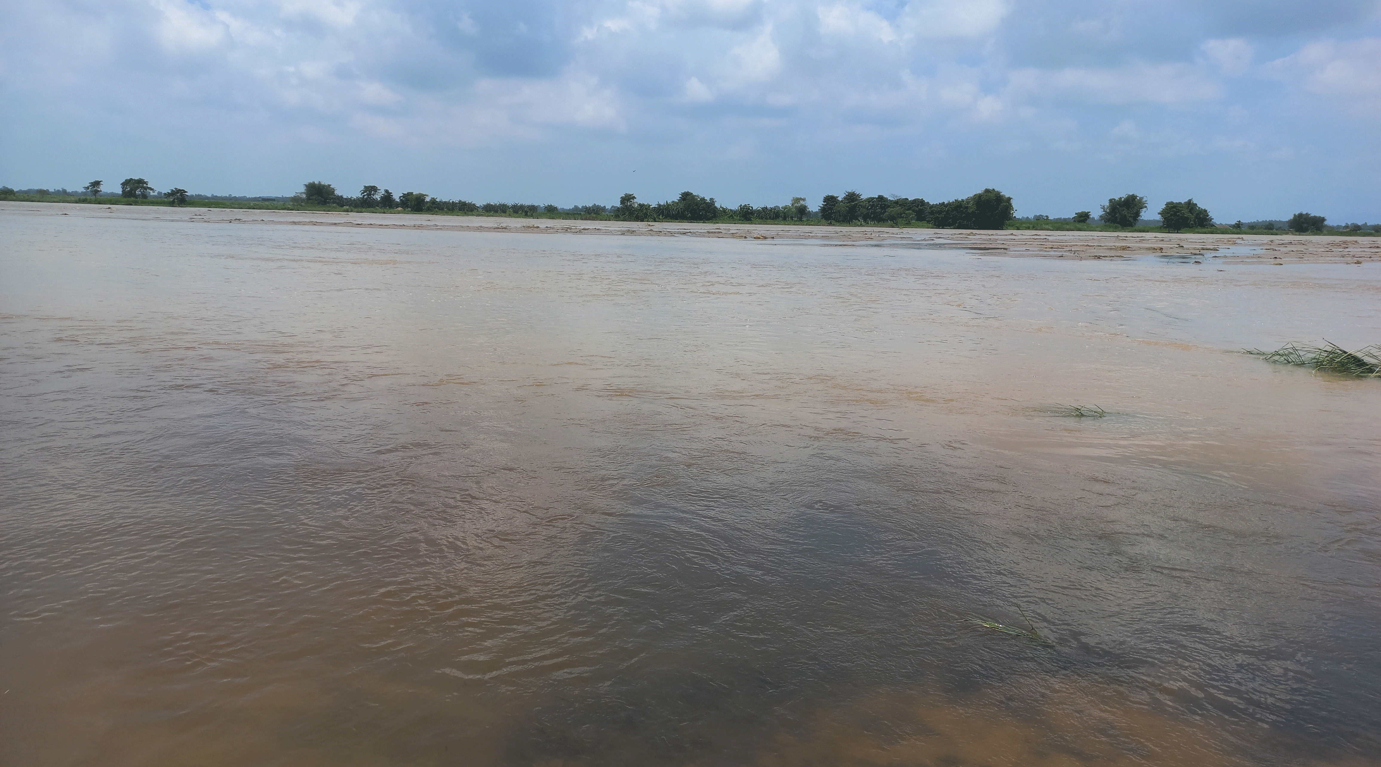 महाकाली नदीमा हामफालेर महिला बेपत्ता