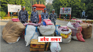 अवैध तस्करी रोक्न भैरहवा भन्सार कार्यालय सक्रिय