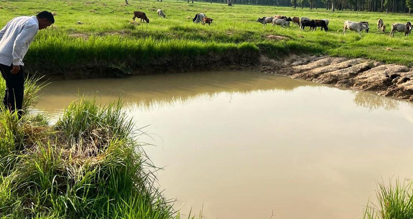 वन्यजन्तुलाई पानीखान जङ्गलमै पोखरी निर्माण