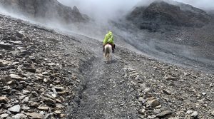 संसारकै अग्लो स्थानमा रहेको तिलिचो ताल जोड्ने पदमार्ग निर्माण