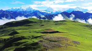 पर्यटक लोभ्याउने ‘ढोरपाटन बुकी’