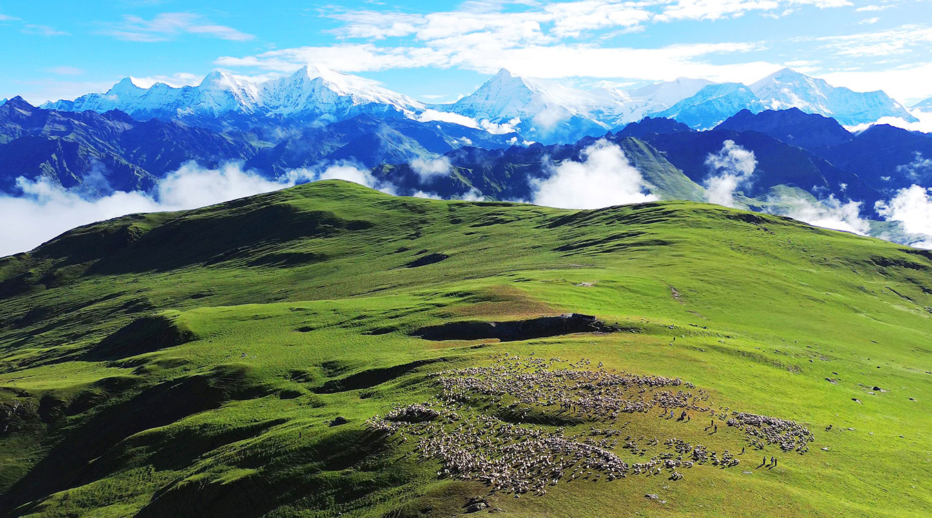 पर्यटक लोभ्याउने ‘ढोरपाटन बुकी’