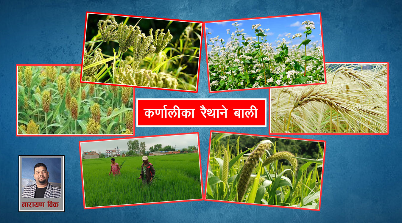 रैथाने बालीमा पहिचान खोज्दै कर्णाली