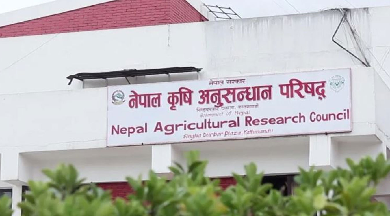 नार्कमा कार्यरत वैज्ञानिक कर्मचारीहरू चरणबद्ध आन्दोलनमा 