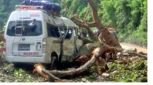 काठमाडौँ आउँदै गरेको माइक्रो बसमाथि रुख ढल्दा नौ यात्रु घाइते