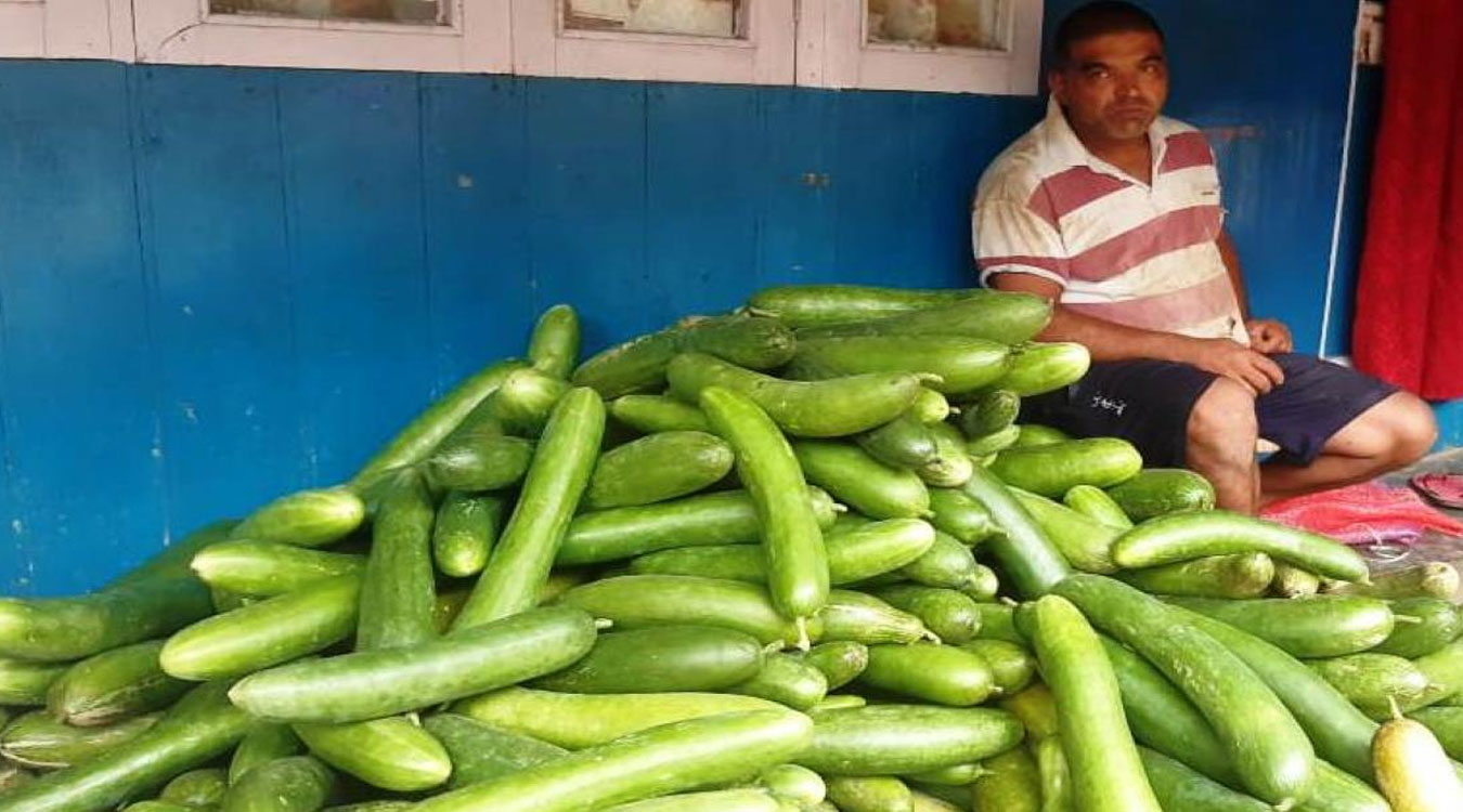 काँक्रोखेतीबाट मनग्य आम्दानी