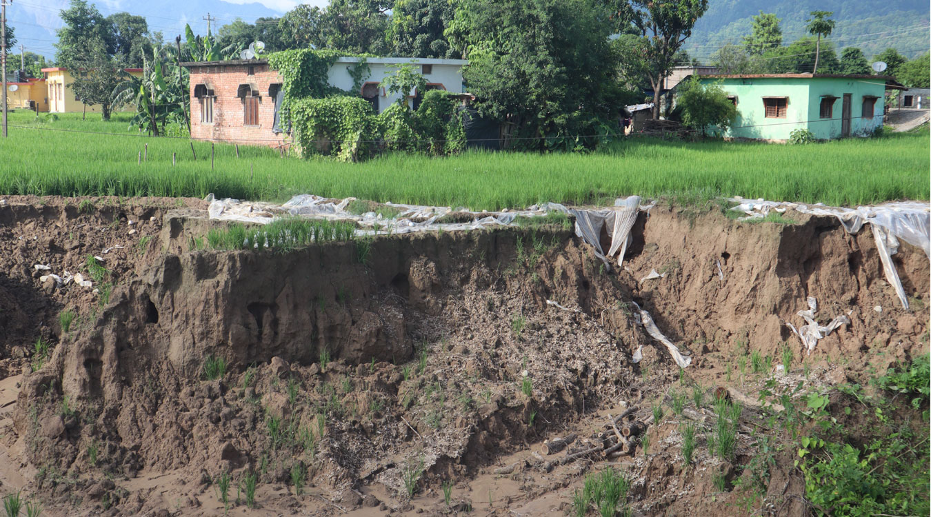 नहर भत्किँदा तीन परिवारको धानखेतीमा क्षति