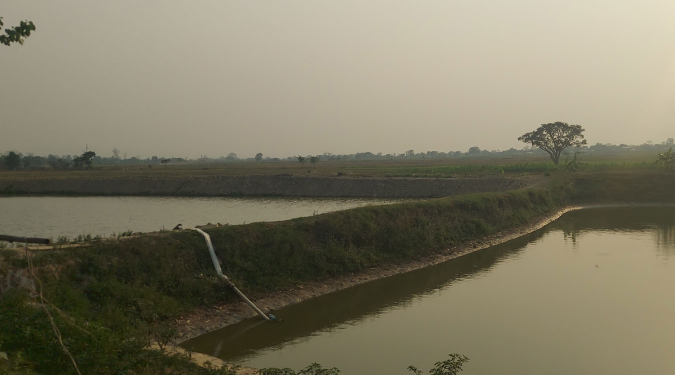 माछापालनतर्फ किसानको आकर्षण बढ्दा उत्पादनमा वृद्धि