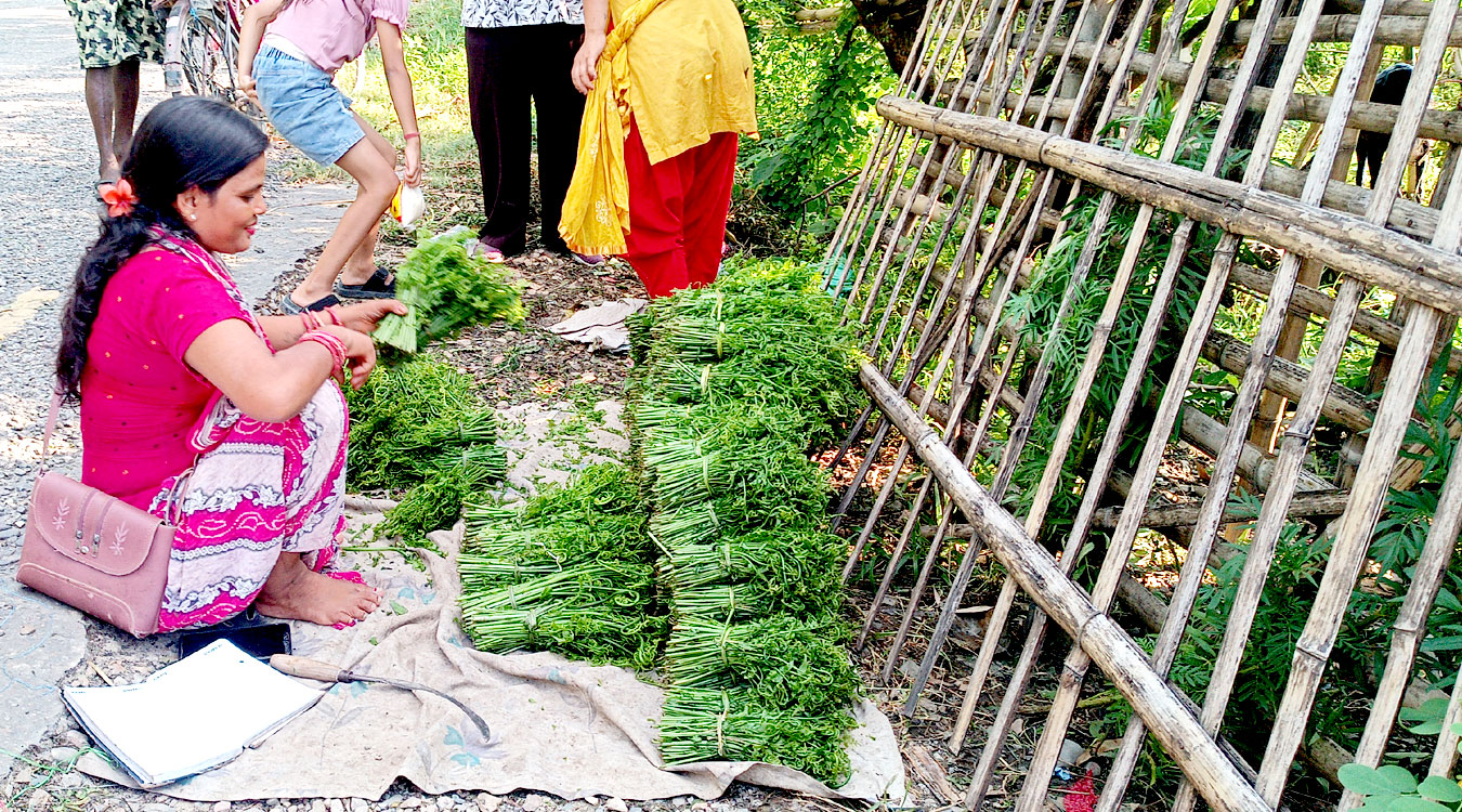 लगानी बिना नै लोभलाग्दो आम्दानी