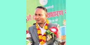चारु
