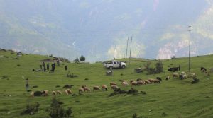 लोभलाग्दो रुइसेको सुन्दरता