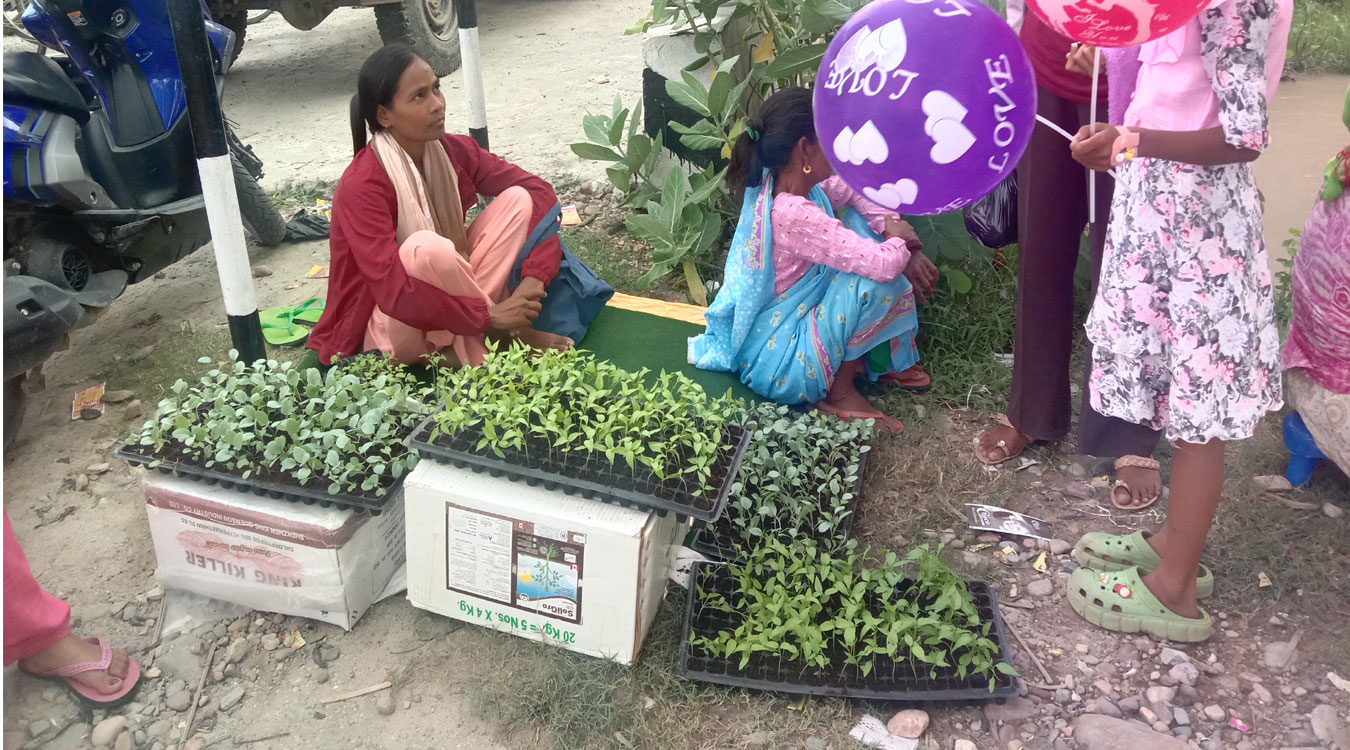 सागसब्जीका बेर्ना बेचेर लाखौं आम्दानी गर्दै वनगाँउकी सरिता