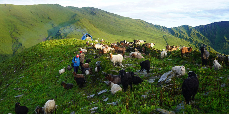 गर्पाछेडाको लोभलाग्दो सुन्दरता, पाहुनाका लागि ‘गोठ स्टे’