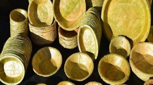 दुना टपरी उत्पादन गर्ने तयारीमा सामुदायिक वन