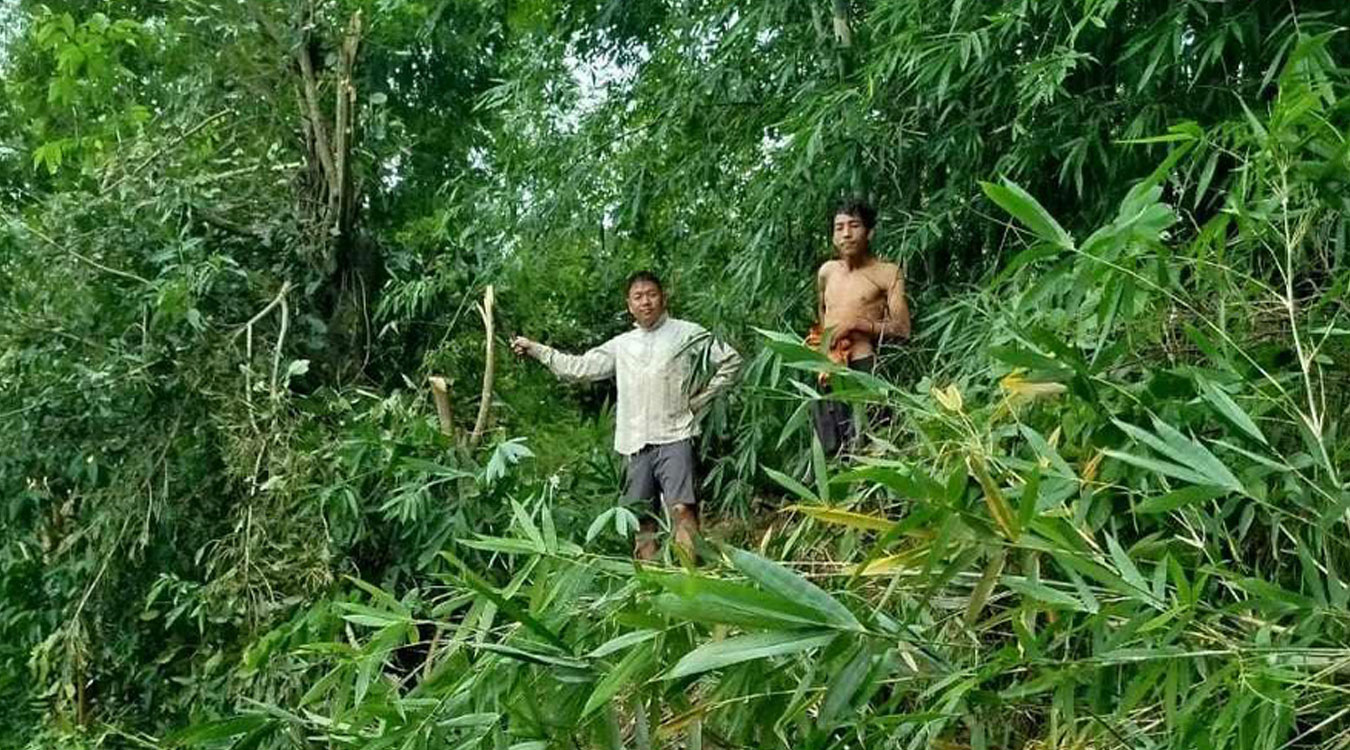 विद्युतीय जोखिम कम गर्न श्रमदानद्वारा झाडी हटाइँदै