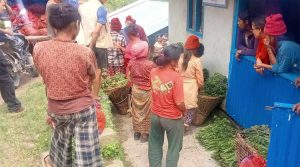 सडकको पहुँचसँगै गाउँघरको निगुरो ठूला सहरका भान्सामा