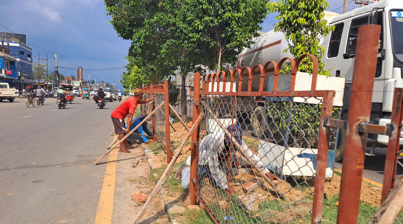सडकका बीचमा लगाइएका बिरुवालाई जोगाउन तारजाली