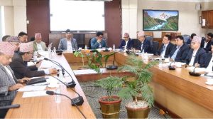 कार्यसम्पादन कमजोर भएका संस्थानको निजीकरण वर्गीकरणका लागि सिफारिस गर्ने निर्णय