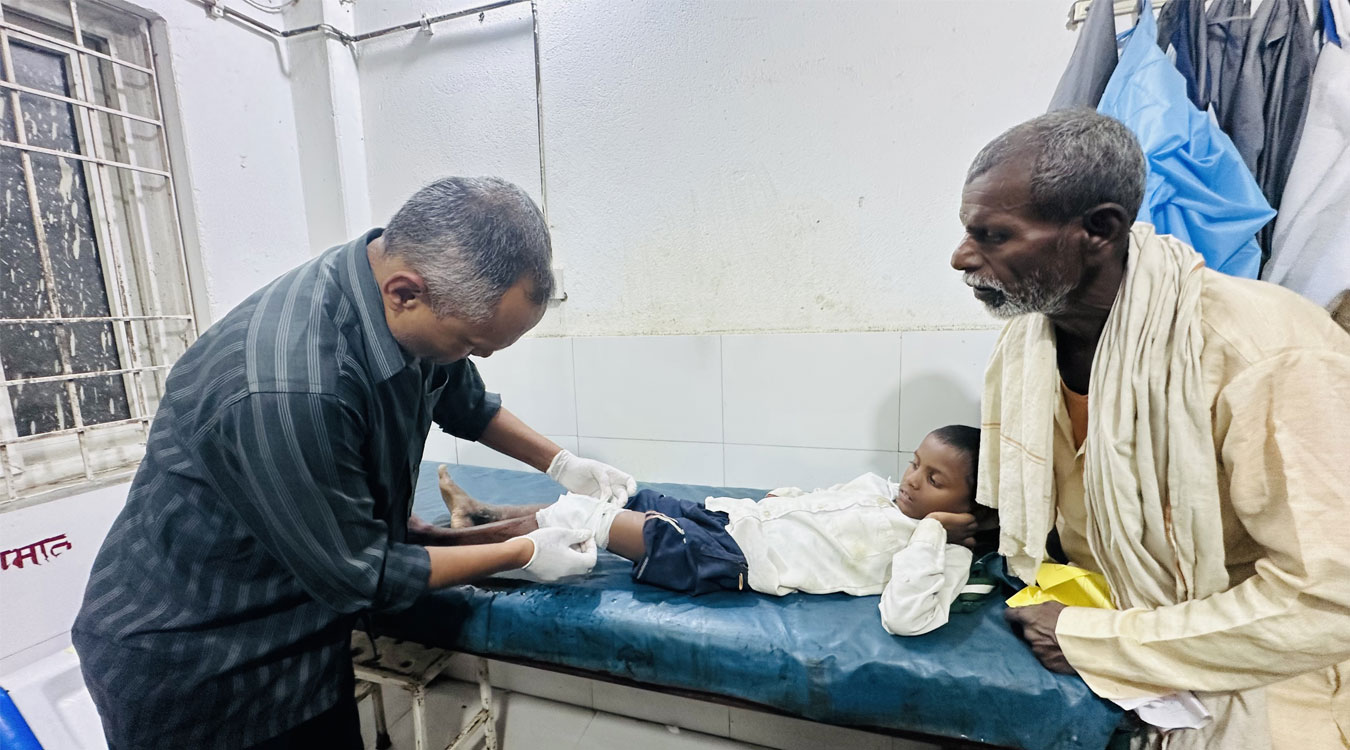 स्यालको आक्रमणबाट १३ जना घाइते