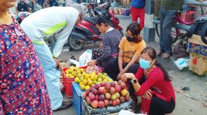 कर्णालीको स्याउ दसैँ-तिहारलाई कोसेली