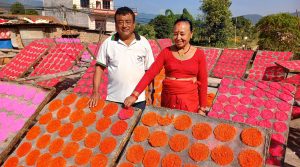 आयआर्जनको बलियो माध्यम झिनिया व्यवसाय