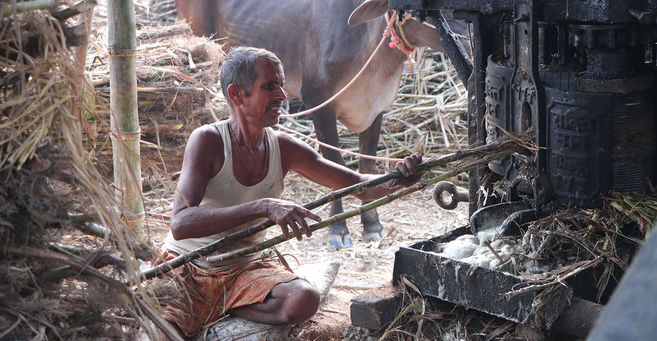 ‘सख्खर जस्तै गुलियो व्यापार’
