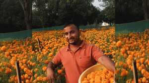 व्यावसायिक फूलखेतीबाट लाखौं आम्दानी गर्दै २४ वर्षीय युवा