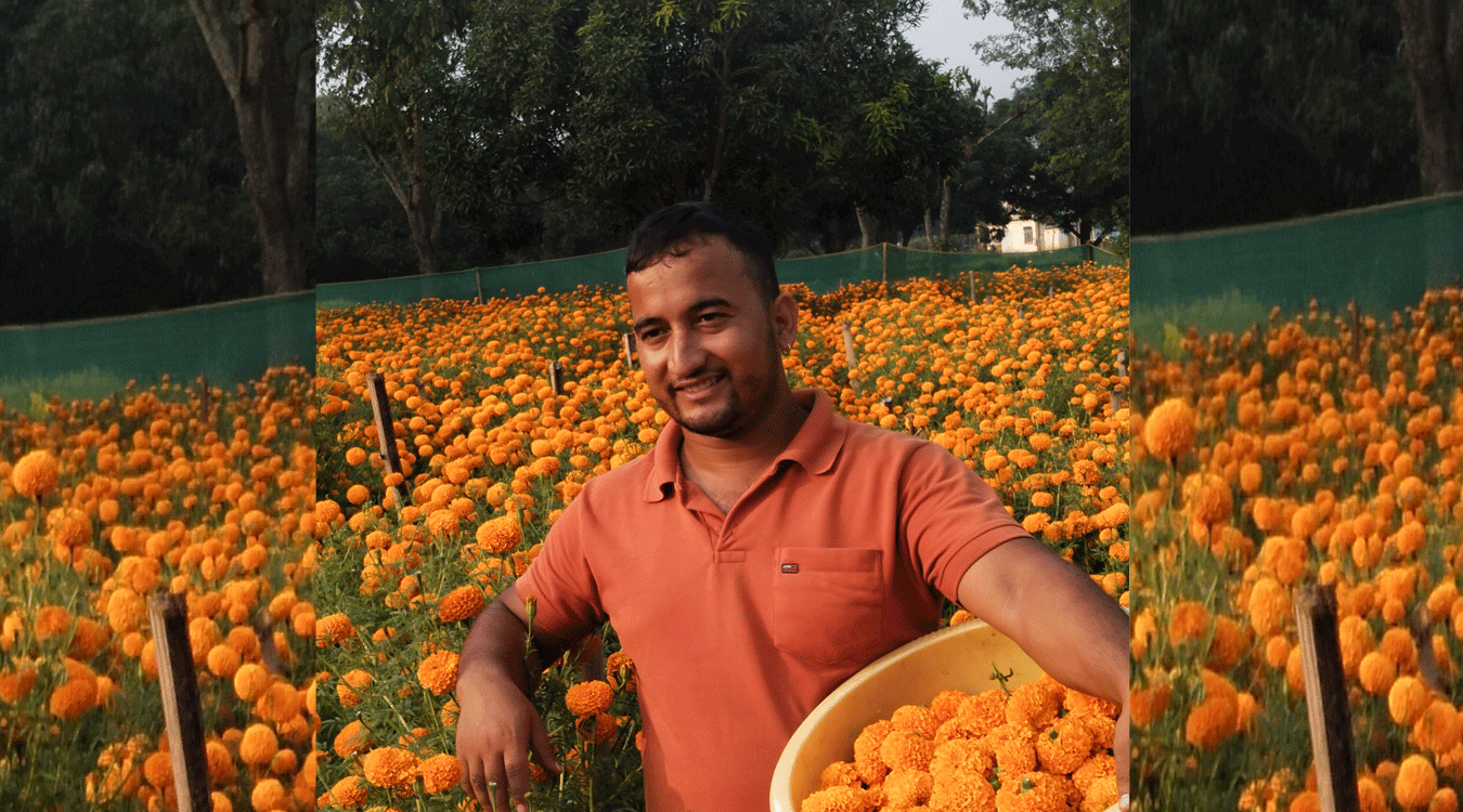 व्यावसायिक फूलखेतीबाट लाखौं आम्दानी गर्दै २४ वर्षीय युवा