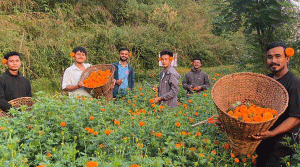 पहिलोपटकमै एक लाखको फूल बिक्री