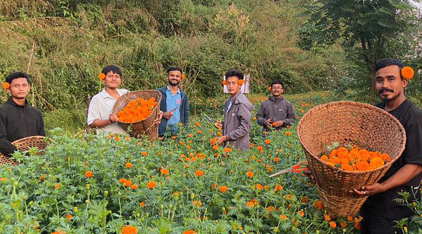 पहिलोपटकमै एक लाखको फूल बिक्री