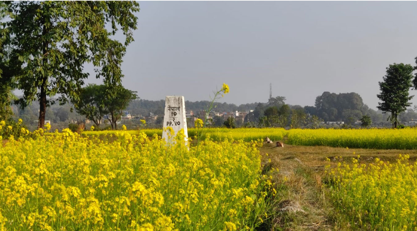 दशगजा वारिपारि पहेँलपुर तोरीबारी