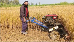 धान काट्न मजदुरको सट्टा मेसिनको प्रयोग