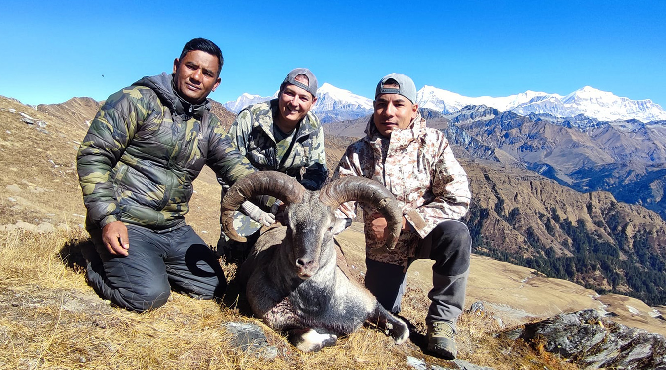 यस वर्षको पहिलो याममा १० नाउर र पाँच झारलको सिकार