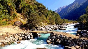 तमोर नदीमा श्रमदानबाट काठे पुल निर्माण