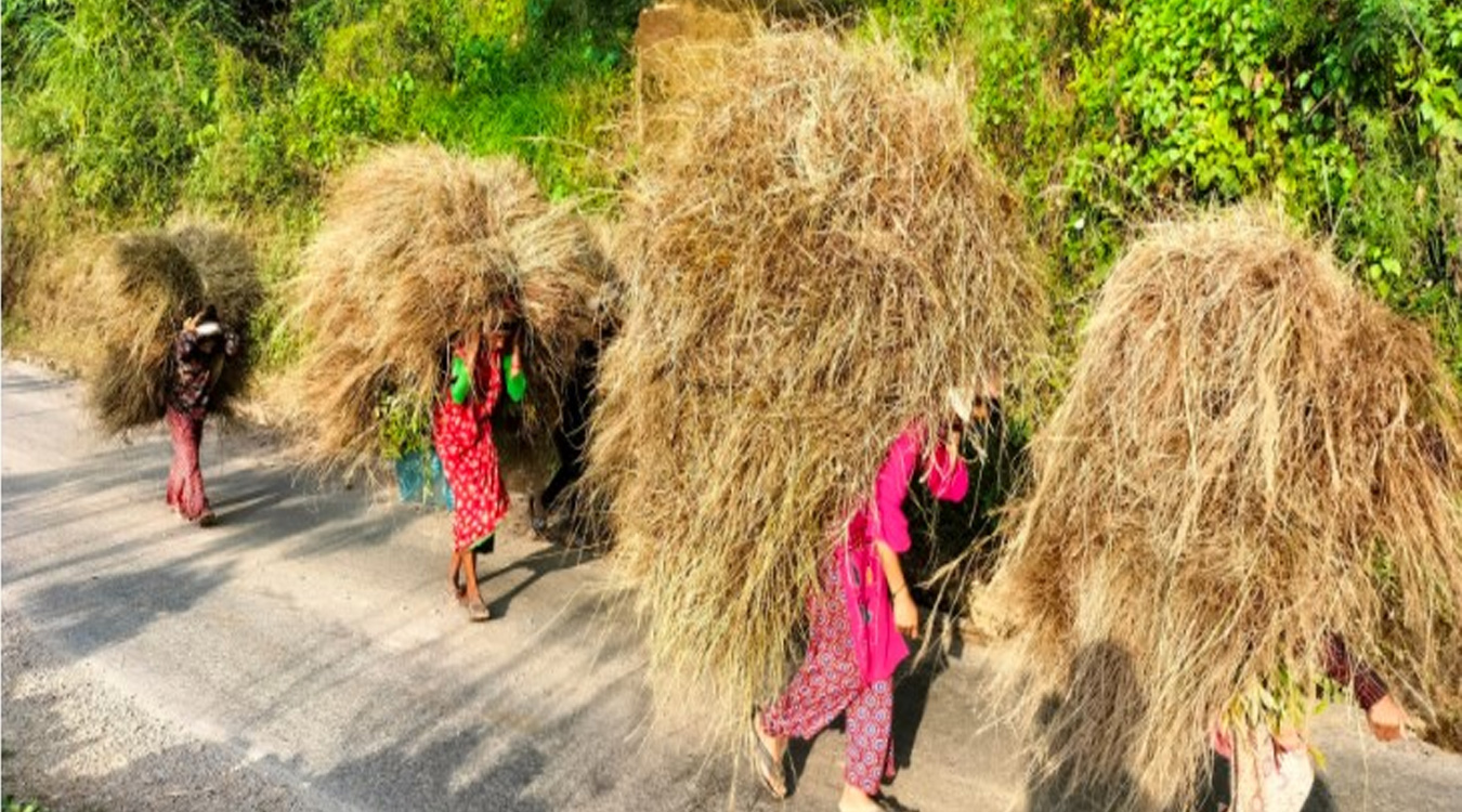 खरखडाइका लागि पुर्जी लिनेको सङ्ख्यामा कमी