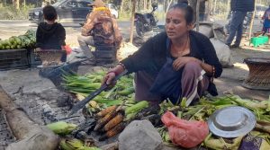 राजमार्ग छेउमा मकै पोलेरै जिविका