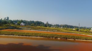 केन्द्रद्वारा दुई करोडभन्दा बढी माछाका भुरा उत्पादन