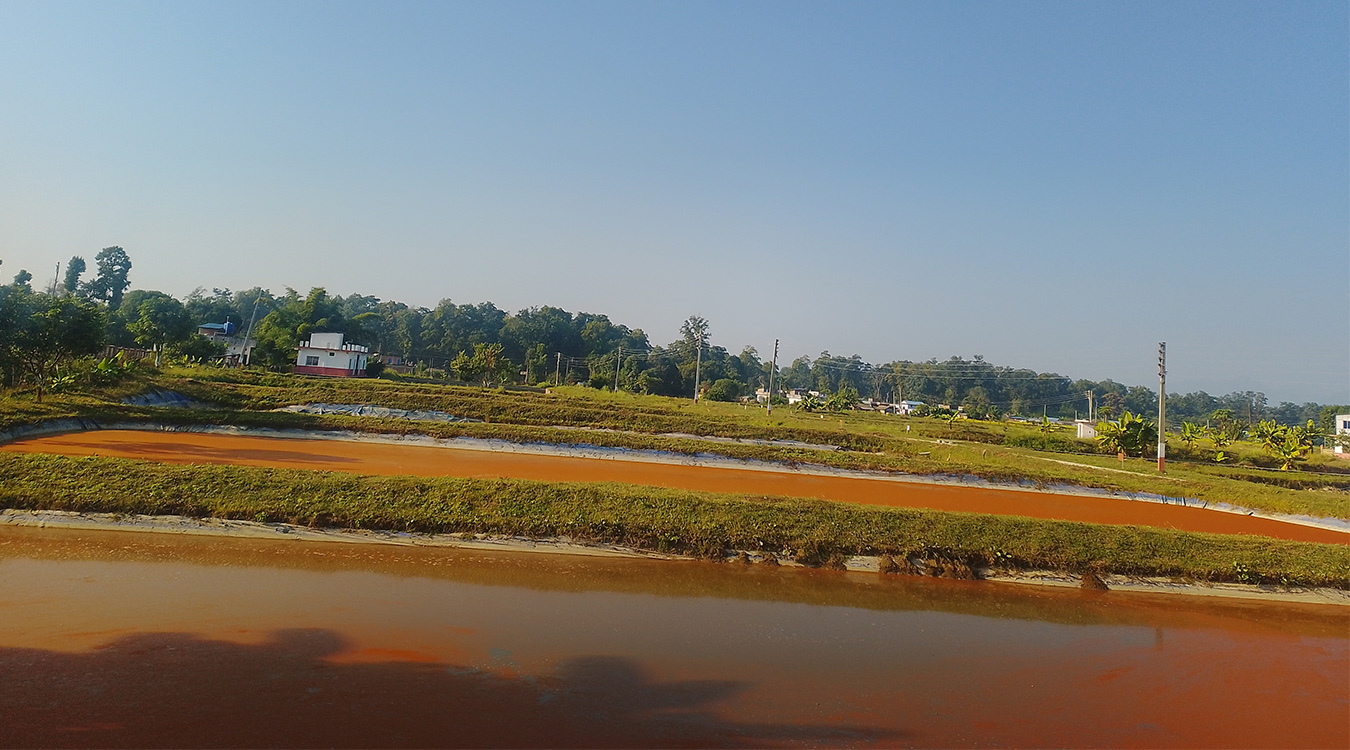 केन्द्रद्वारा दुई करोडभन्दा बढी माछाका भुरा उत्पादन