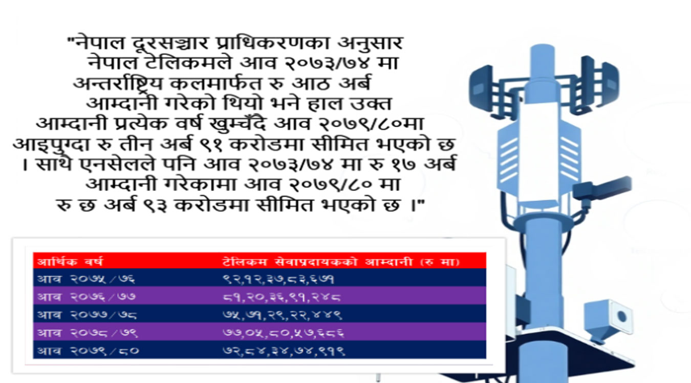 नीतिगत सुधार पर्खंदै टेलिकम कम्पनी